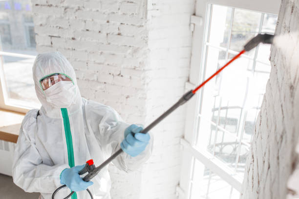 Best Emergency Mold Remediation  in Labelle, FL